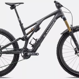 Specialized Stumpjumper EVO LTD