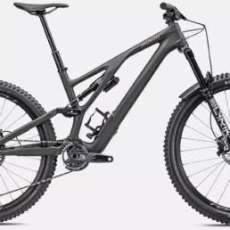 Specialized Stumpjumper EVO LTD