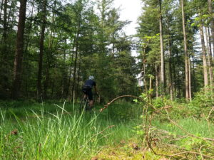 Gravel route Veluwe Noord