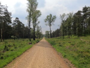 Gravel route bij Apeldoorn