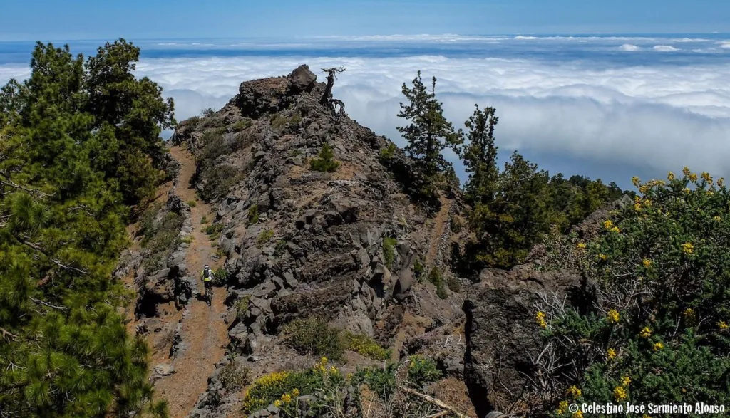 La Palma vulkanische trails