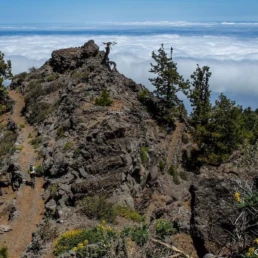 La Palma vulkanische trails