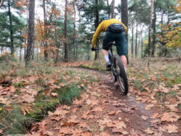 Deurne Zandbos MTB trail