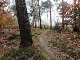 Deurne Zandbos MTB trail