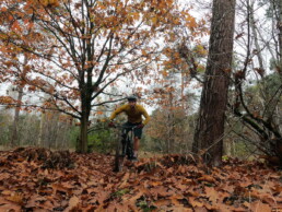 Deurne Zandbos MTB trail