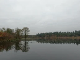 Deurne zandbos meer