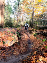 mtb route lunteren